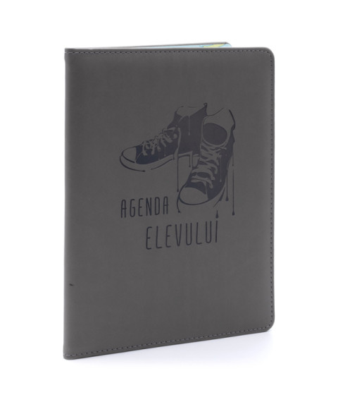 Agenda elevului IDEE gri